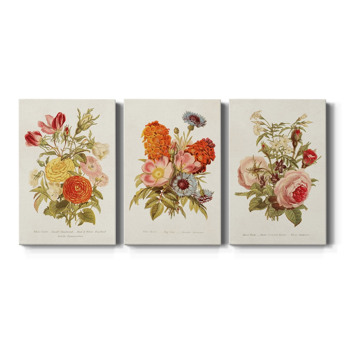 Antique Floral Bouquet I Premium Gallery Wrapped Canvas - Ready to Hang - 24 x 36 Each