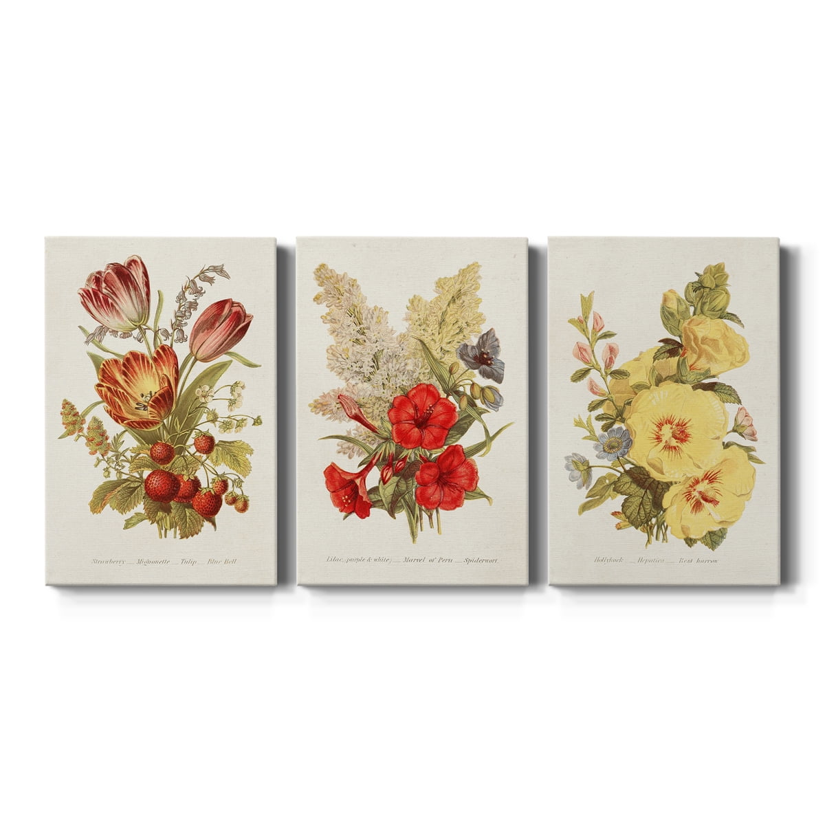 Antique Floral Bouquet IV Premium Gallery Wrapped Canvas - Ready to Hang - 24 x 36 Each