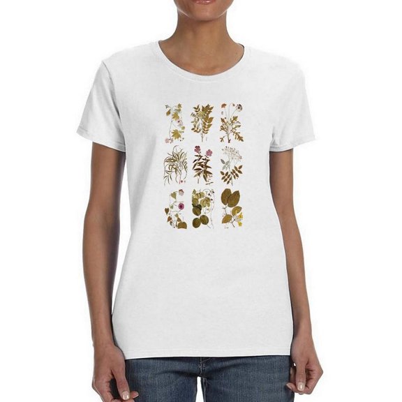 Antique Floral Grid Ii T-Shirt Women -Vision Studio Designs, Female 3X-Large