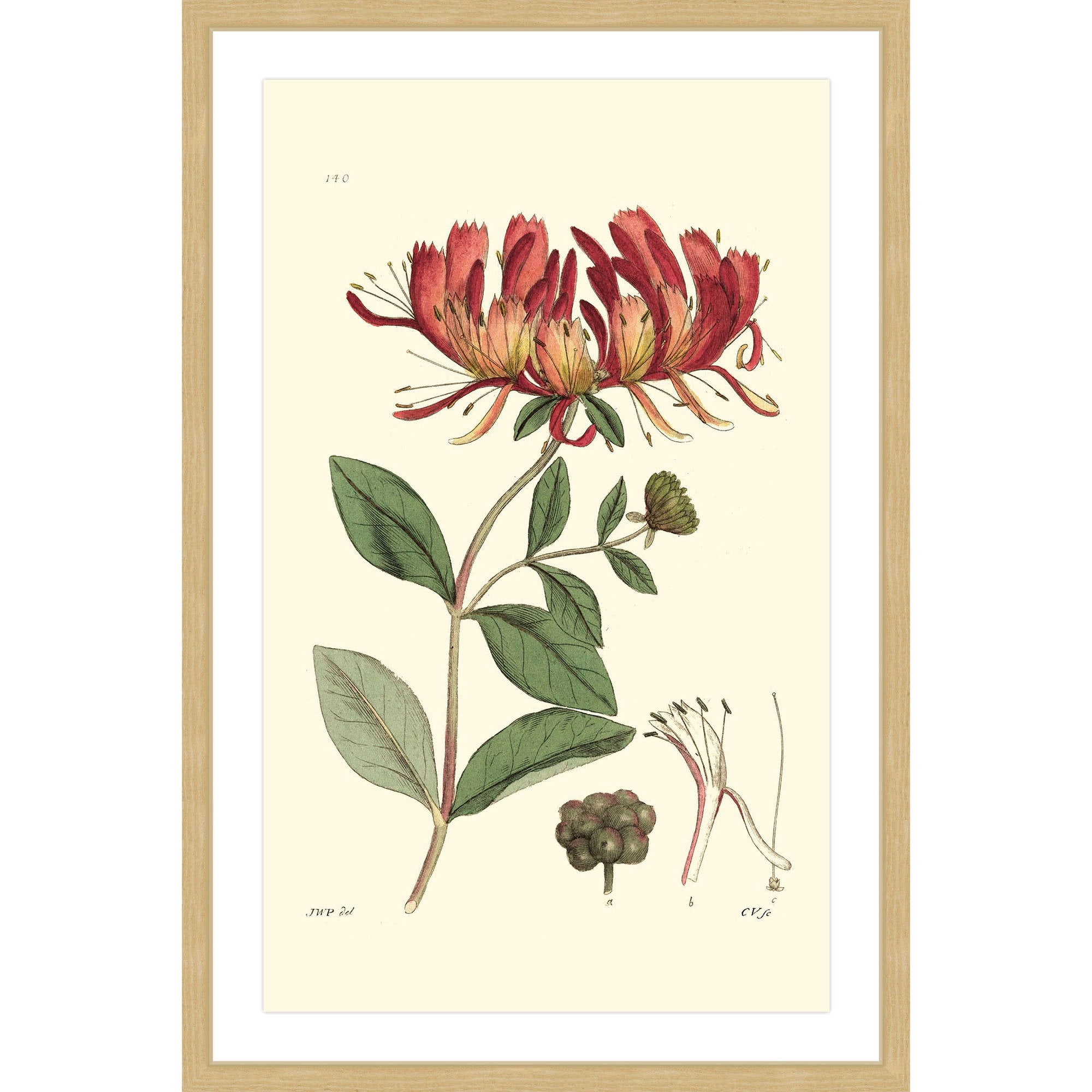 "Antique Floral II" Framed Painting Print