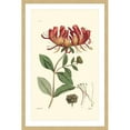 thumbnail image 1 of "Antique Floral II" Framed Painting Print, 1 of 6