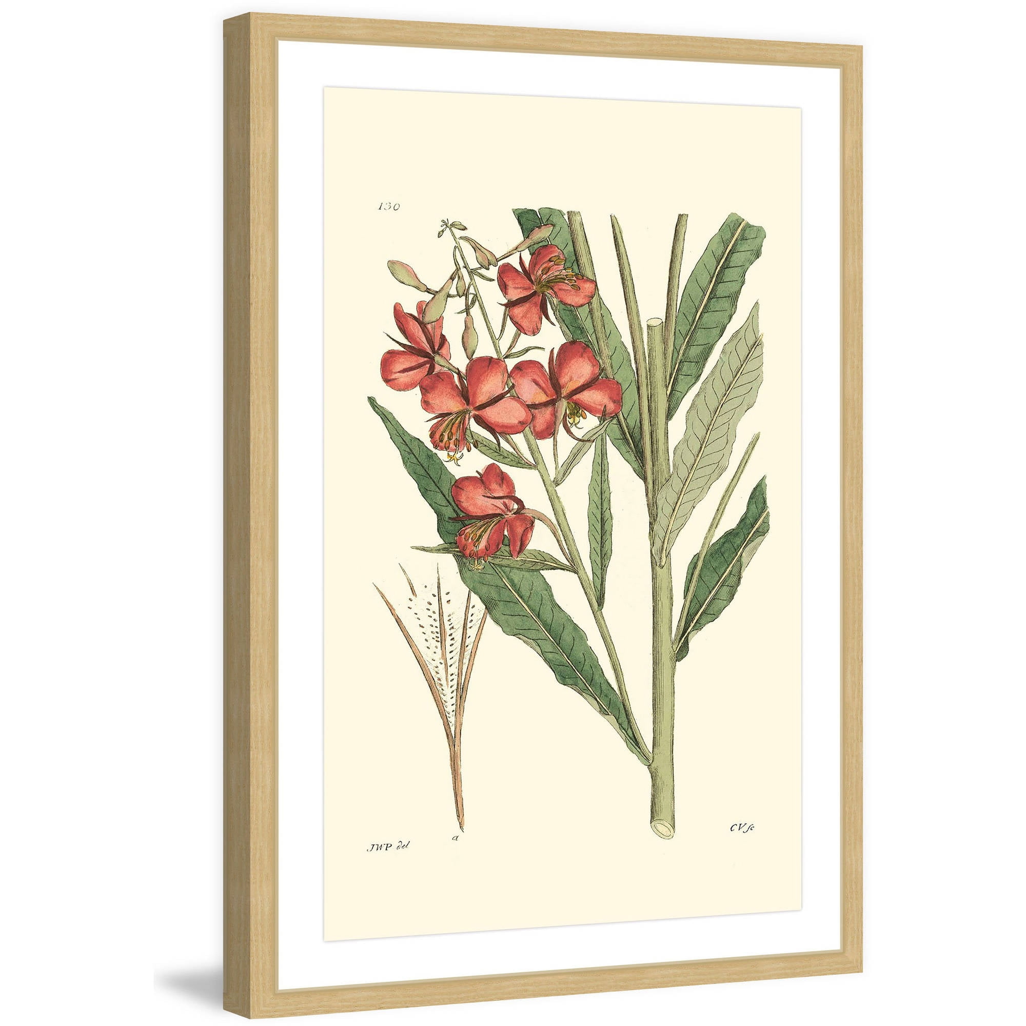 "Antique Floral III" Framed Painting Print