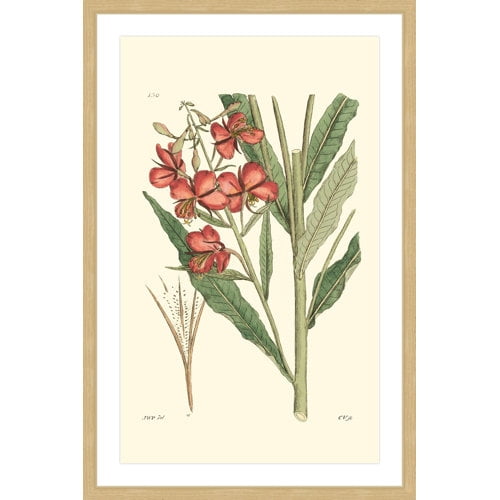 "Antique Floral III" Framed Painting Print