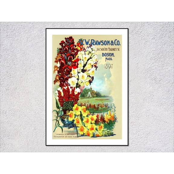 Antique Flower Catalog Poster, Unframed Paper Poster 8x10in