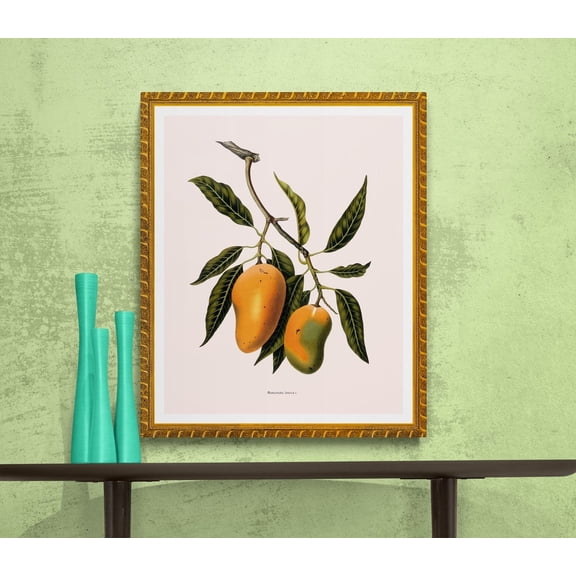 Antique French Mango Fruits Botanical Print, Unframed Paper Poster 8x10in