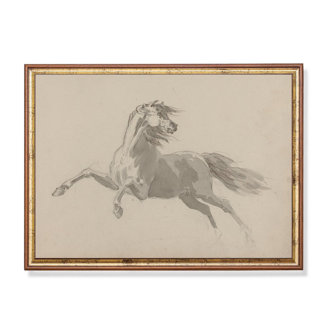 Antique Horse Sketch 18th Century Equestrian Ink Drawing Poster Decor ...