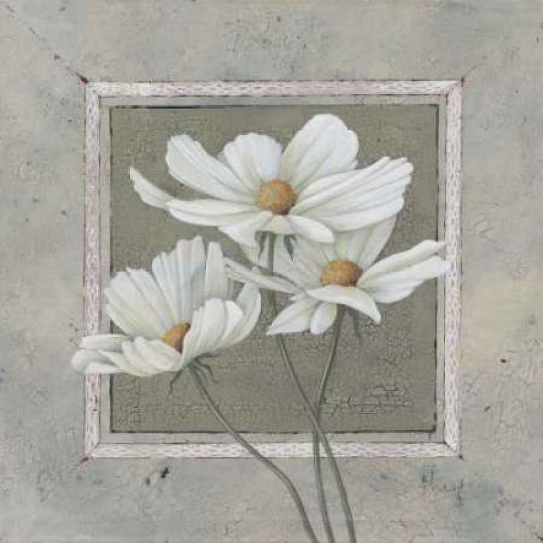 Antique II Canvas Art - Hans Paus (24 x 24)