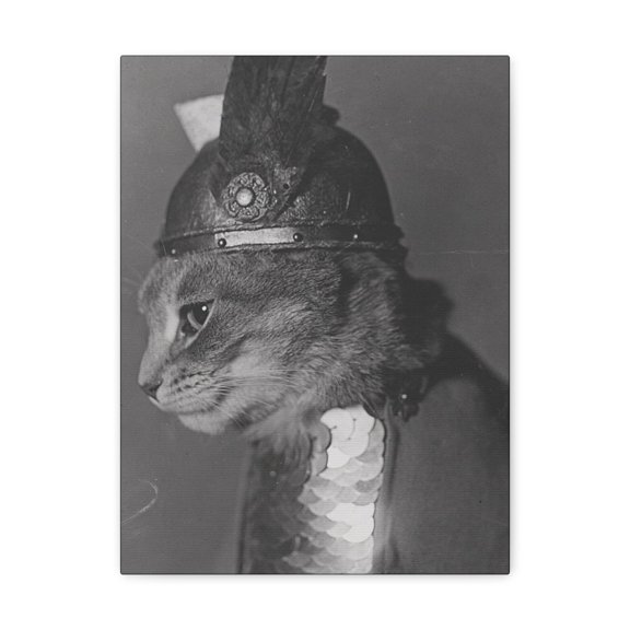 Antique Image of Cat on Canvas