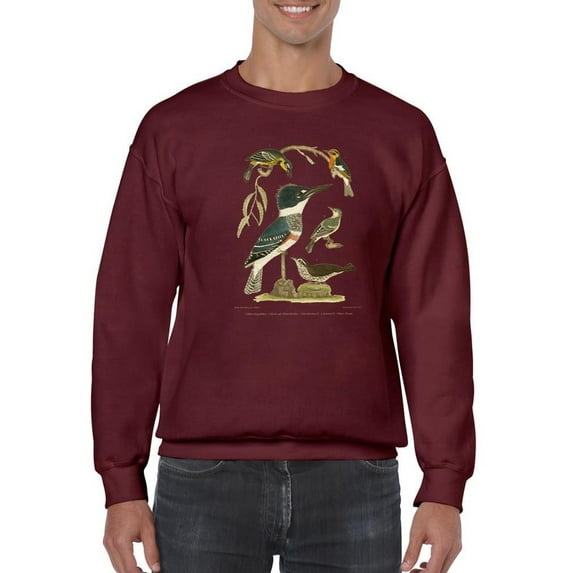 Antique Kingfisher Sweatshirt Men -Alexander Wilson Designs, Male Small