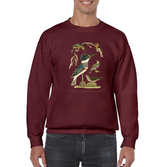 Antique Kingfisher Sweatshirt Men -Alexander Wilson Designs, Male XX-Large