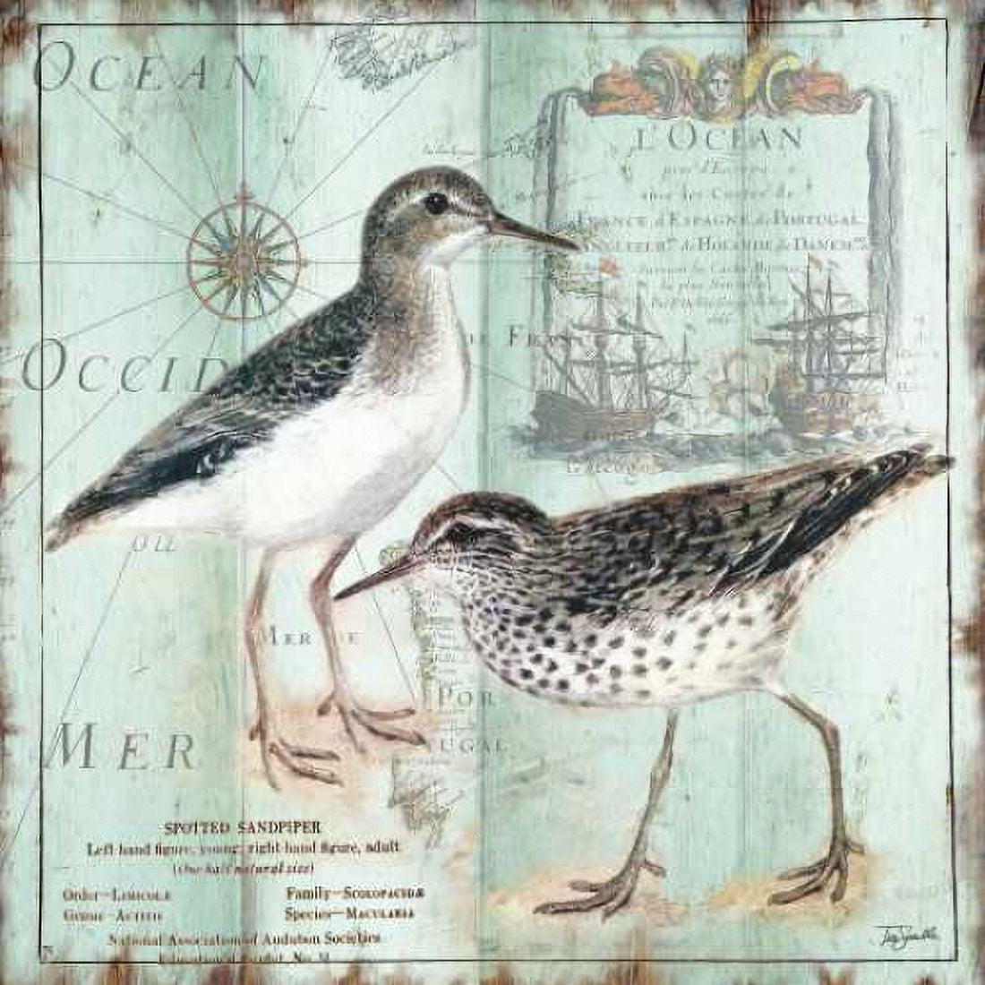 Antique La Mer VI Canvas Art - Tre Sorelle Studios (24 x 24)