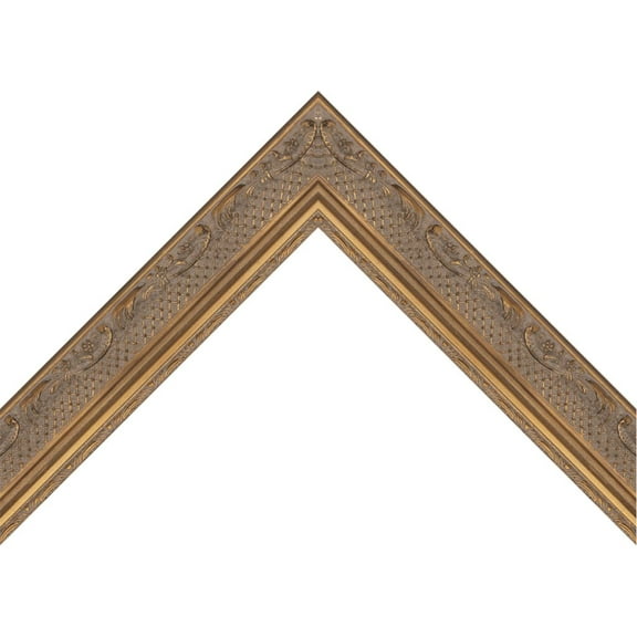 Antique Lined Gold Ornate Picture Frame Scoop