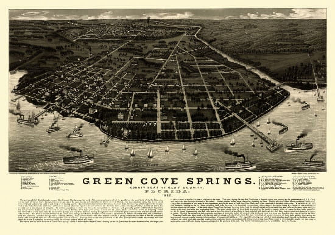Antique Map of Green Cove Springs Florida 1885 Clay County Canvas Art -  (24 x 36)