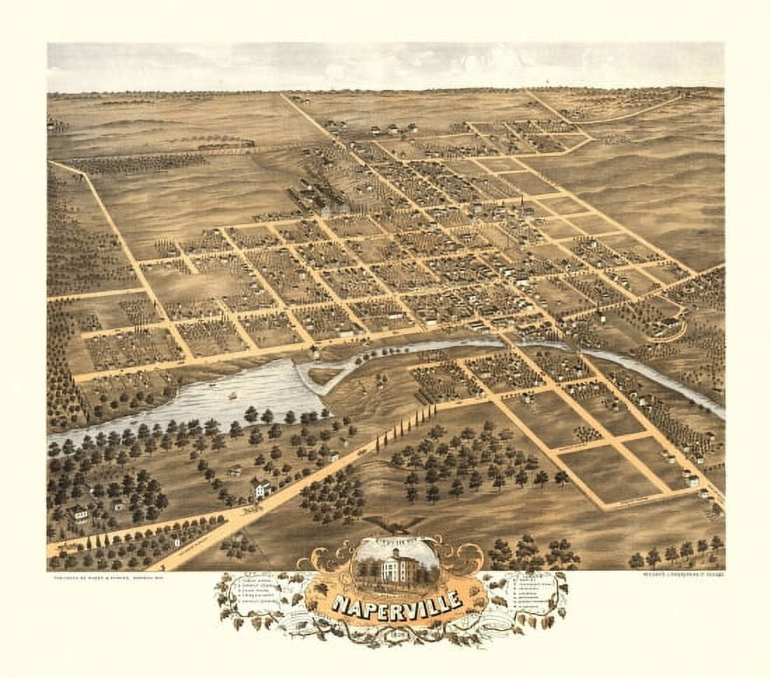 Antique Map of Naperville Illinois 1869 DuPage County Canvas Art -  (36 x 54)