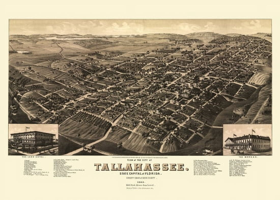 Antique Map of Tallahassee Florida 1885 Leon County Canvas Art - (24 x 36)