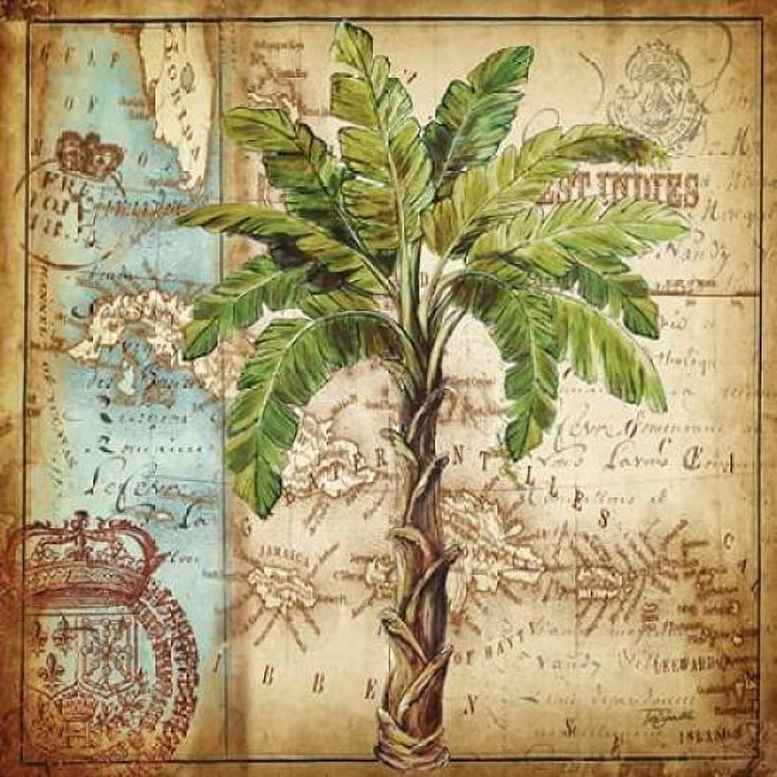 Antique Nautical Palms I Canvas Art - Tre Sorelle Studios (24 x 24)