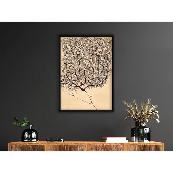 Antique Neuroscience Neuron Anatomy Drawing Santiago Ramon y Cajal Fine Art, Unframed Poster