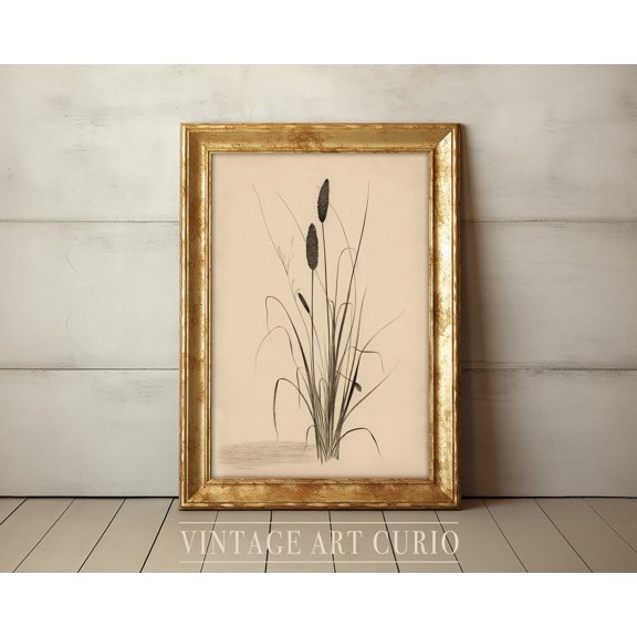 Antique Neutral Farmhouse Wall Print Decor, Reeds Sketch, Rustic Country Decor, Bathroom , Vintage Etching Unframed Paper Print