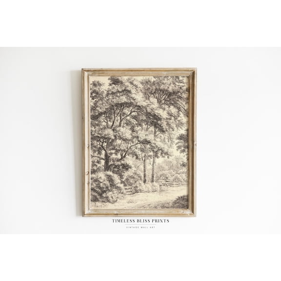 Antique Neutral Forest Drawing Printable Art Trees Path Sketch Vintage Woods Print Etching Country Landscape Wall Art Poster Decor, Unframed Canvas Size 8x12 F03.1.22l43