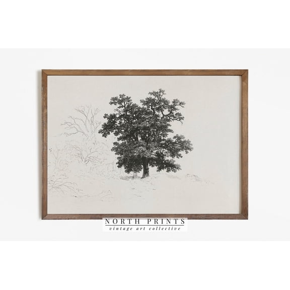 Antique Neutral Tree Sketch Unframed Paper Print