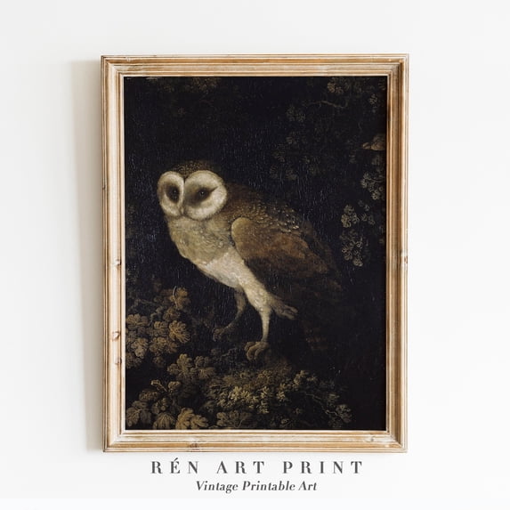 Antique Owl Dark Academia Vintage Bird Poster Design1 Poster, Unframed Size 8x12