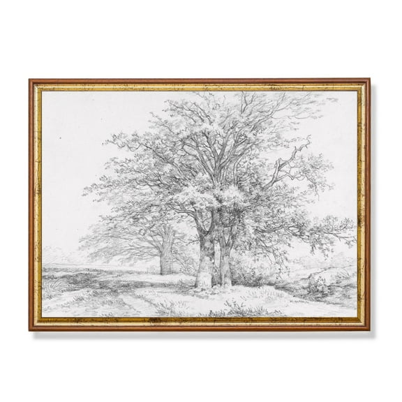 Antique Pencil Tree Drawing Rustic Woodland Landscape Art Unframed Paper Print