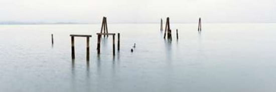 Antique Pier - 134 Canvas Art - Alan Blaustein (12 x 36)
