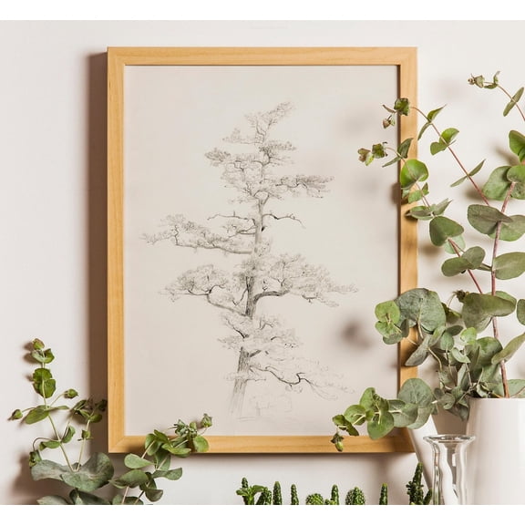 Antique Pine Tree Drawing: Vintagesketch Art Poster, Unframed Poster Size 24x36