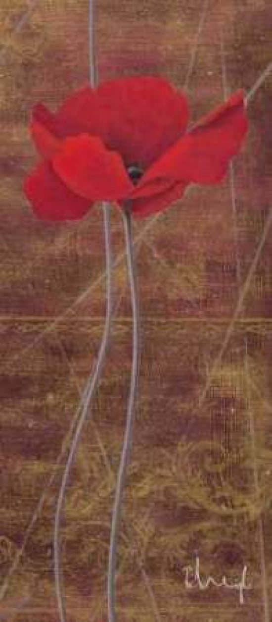 Antique Red I Canvas Art - Hans Paus (10 x 20)