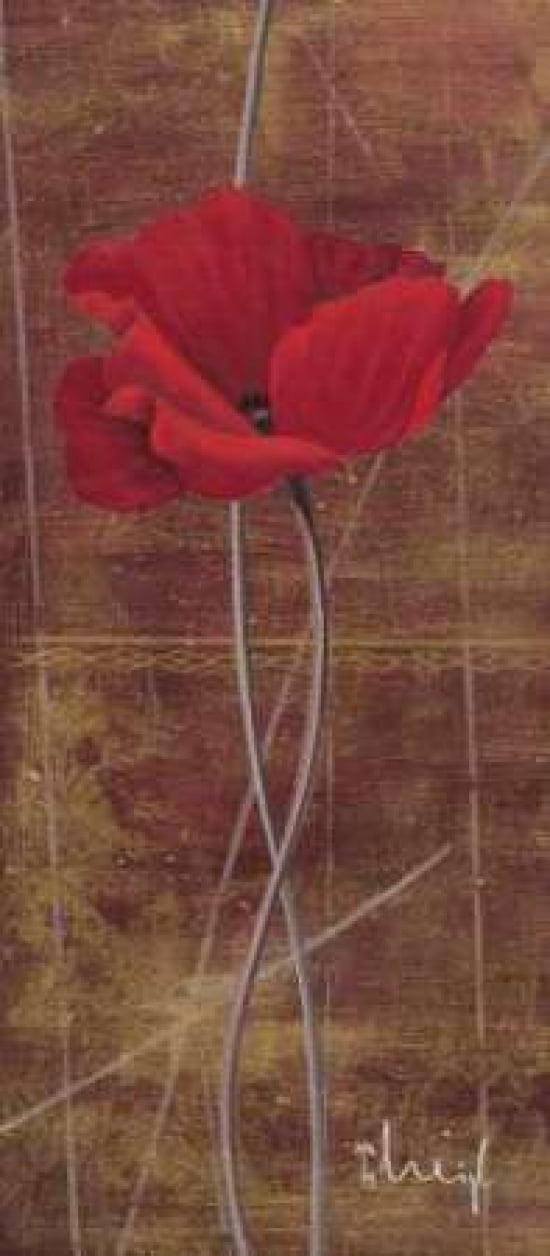 Antique Red II Canvas Art - Hans Paus (24 x 48)