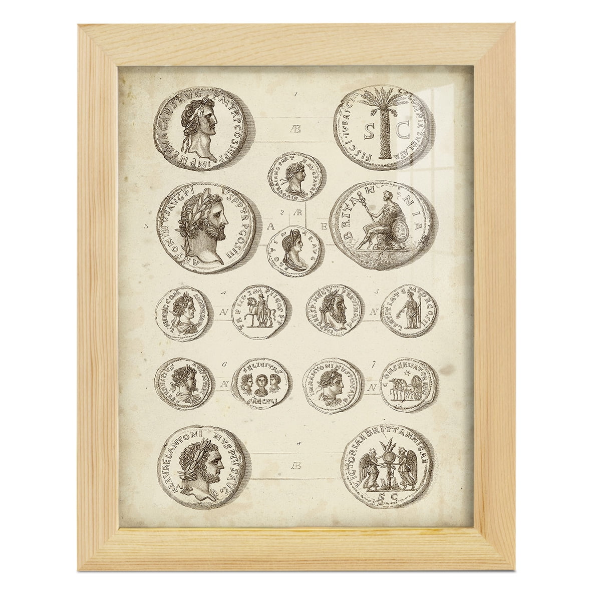 Antique Roman Coins IV -Framed Print w/glass-Natural Wood