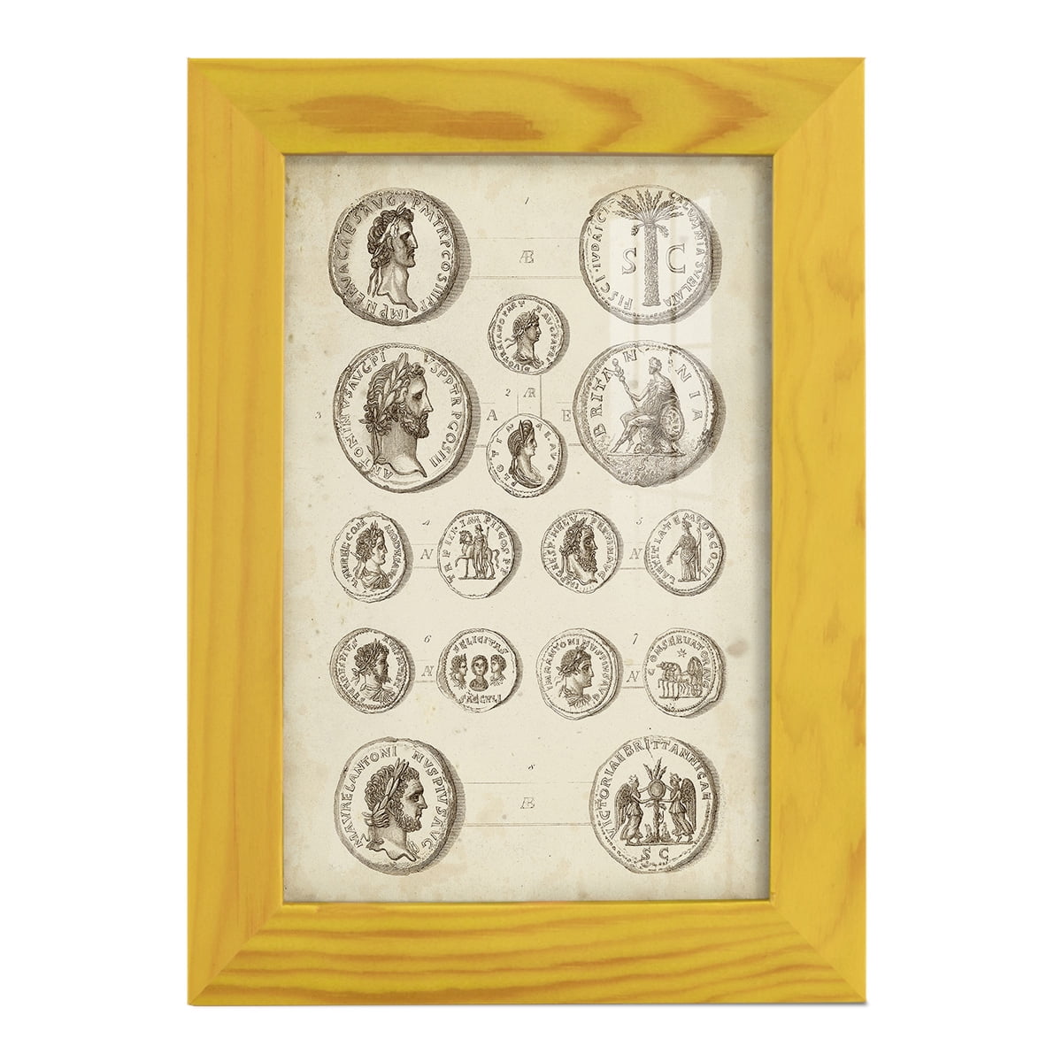 Antique Roman Coins IV -Framed Print w/glass-Sunflower Yellow