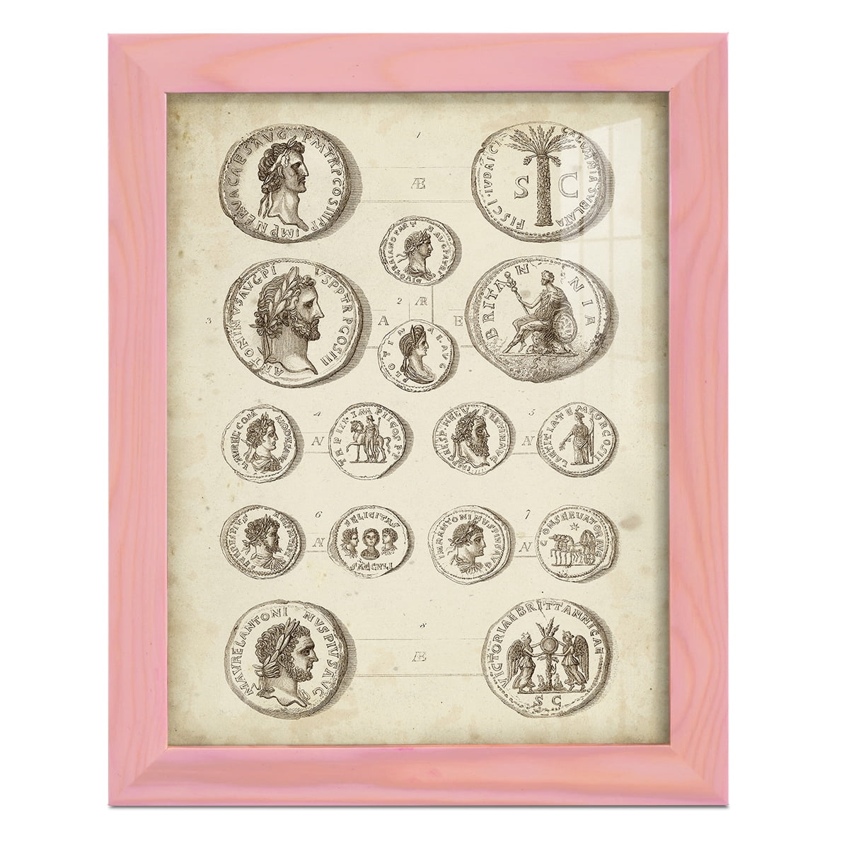 Antique Roman Coins IV -Framed Print w/glass-Sunset Pink