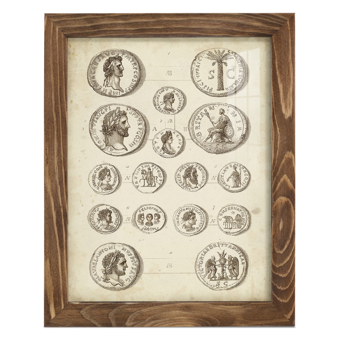 Antique Roman Coins IV -Framed Print w/glass-Walnut