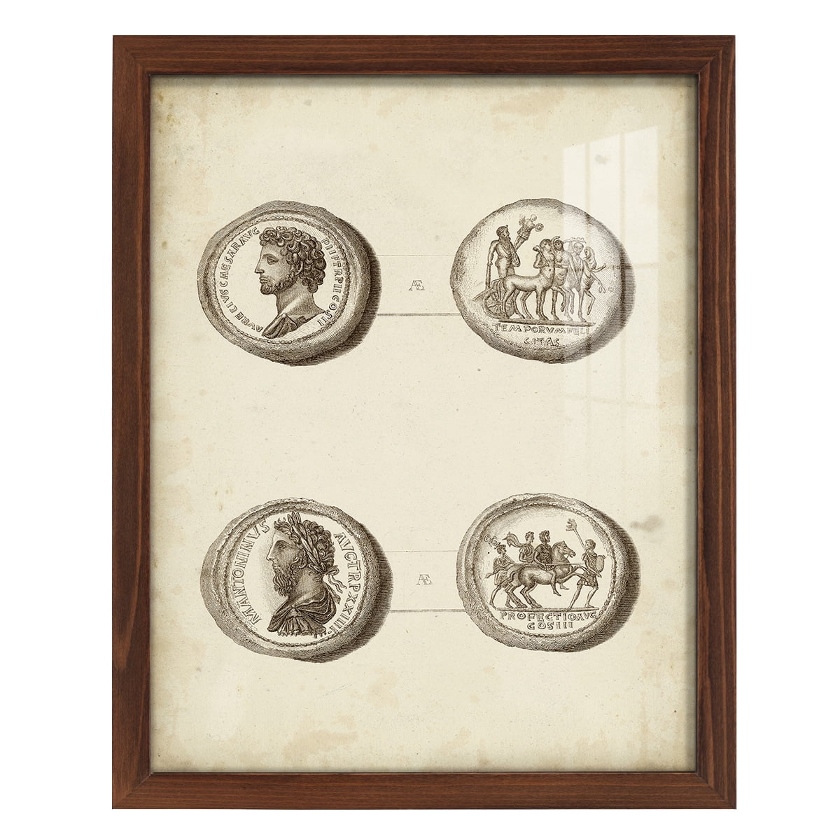 Antique Roman Coins VI -Framed Print w/glass-Chestnut