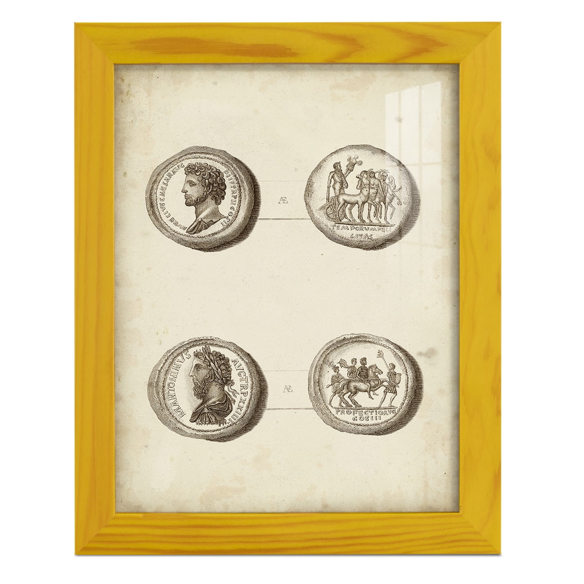 Antique Roman Coins VI -Framed Print w/glass-Sunflower Yellow