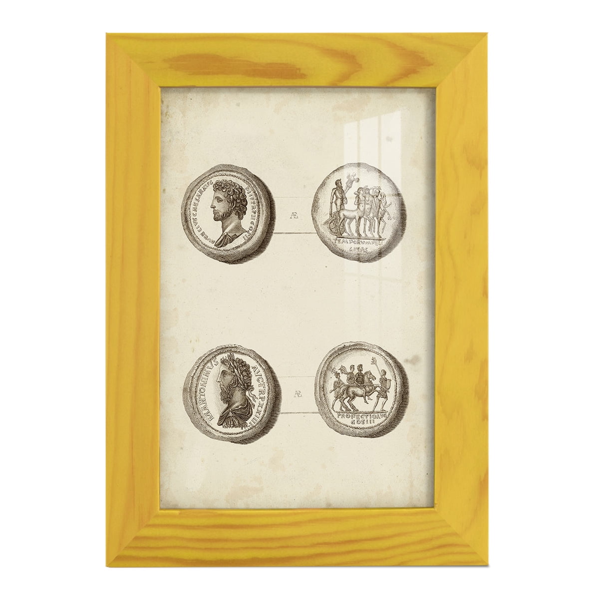 Antique Roman Coins VI -Framed Print w/glass-Sunflower Yellow
