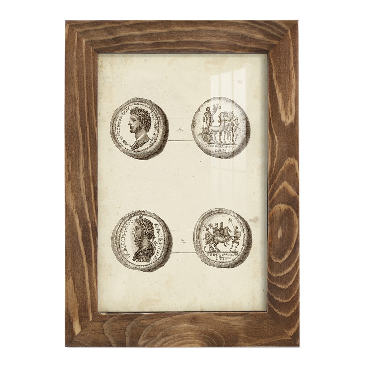 Antique Roman Coins VI -Framed Print w/glass-Walnut