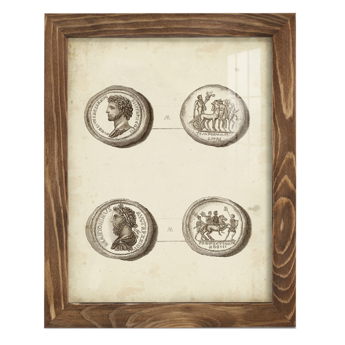 Antique Roman Coins VI -Framed Print w/glass-Walnut