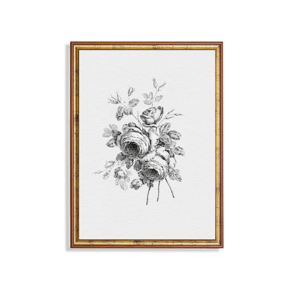 Antique Rose Engraving Poster Black and White Botanical Art Unframed Paper Print