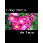 Antique Roses Paperback