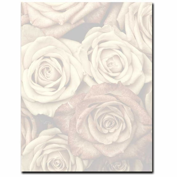 Antique Roses Letterhead Laser & Inkjet Printer Paper, 100 Sheet Pack ...