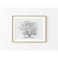 thumbnail image 1 of Antique Simple Black White Tree Sketch Printable Vintage Tree Drawing Pencil Art Print Neutral Classic Home Wall Art Poster Decor, Stretched Canvas Size 16x24 F03.1.22l5, 1 of 4