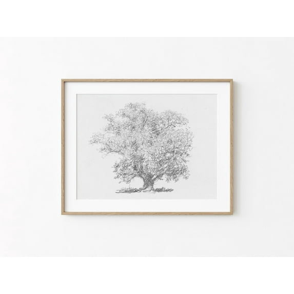 Antique Simple Black White Tree Sketch Printable Vintage Tree Drawing Pencil Art Print Neutral Classic Home Wall Art Poster Decor, Stretched Canvas Size 16x24 F03.1.22l5