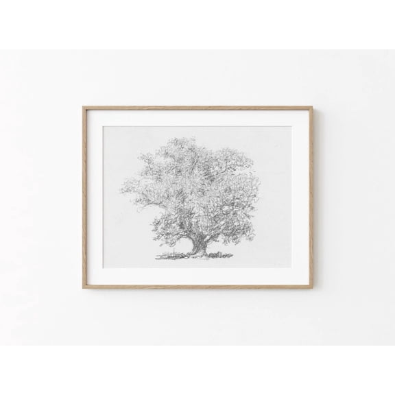 Antique Simple Black White Tree Sketch Printable Vintage Tree Drawing Pencil Art Print Neutral Classic Home Wall Art Poster Decor, Stretched Canvas Size 12x18 F03.1.22l5