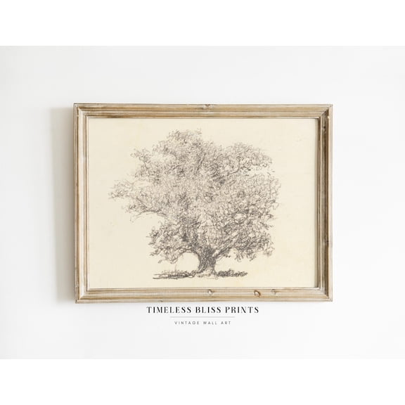 Antique Simple Tree Sketch Printable Vintage Tree Drawing Pencil Sketch Art Forest Print Neutral Classic Home Wall Art Poster Decor, Unframed Poster Size 12x18 F03.1.22l12