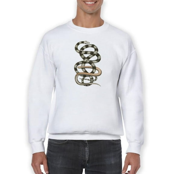 Antique Snakes I. Sweatshirt Men -Vision Studio Designs, Male 4X-Large