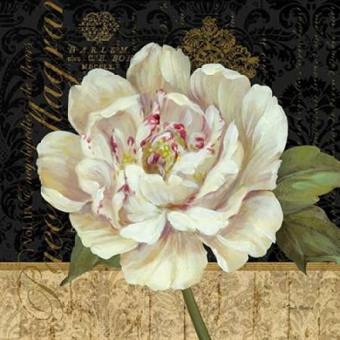 Antique Still Life Peony Canvas Art - Pamela Gladding (24 x 24)