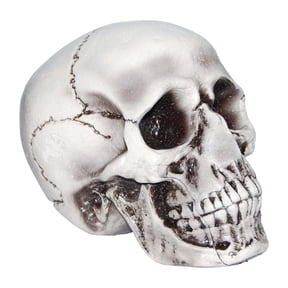 Antique-Style White Skull Resin Statue 1:1 Scale, Realistic Human Skeleton Head with Sutures & Teeth, Art Sketch Anatomy Teaching Model, Halloween Gothic Decor