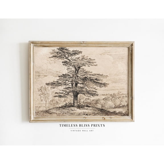 Antique Tree Drawing Beige Woods Print Moody Forest Landscape Brown Wall Art Vintage Trees Sketch Woodland Printable Art Poster Decor, Unframed Poster Size 12x18 F03.1.22l11